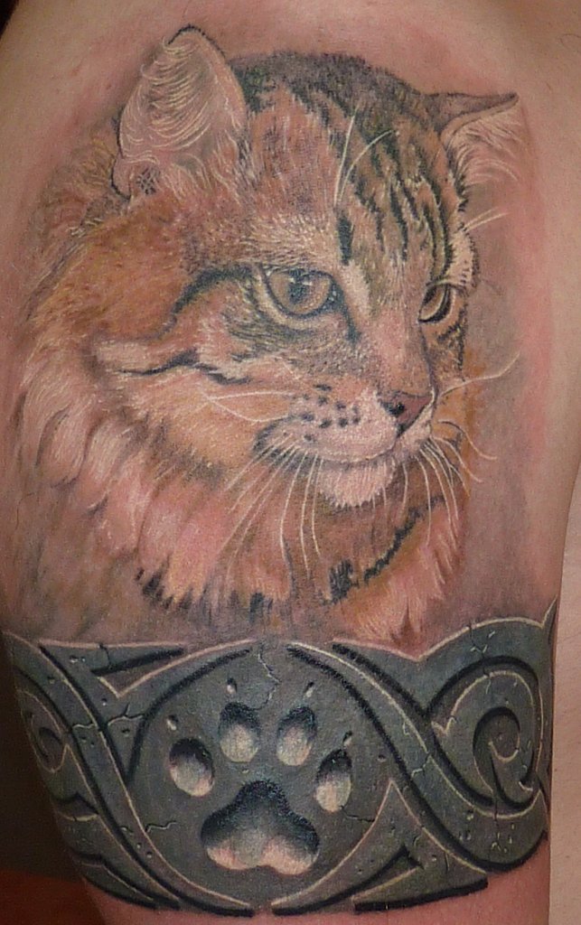 Фото, значение в магии татуировки " Кот. Кошка. Котенок. " - Страница 2 Z_b195527b